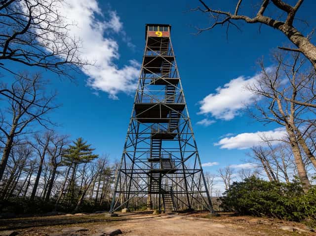 Cook Forest State Park: Forest Cathedral, Fire Tower & Old Growth Hiking: A high-resolution hero image showcasing the natural beauty of the park.