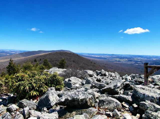 Hawk Mountain: $10, No Dogs, Best Raptor Show in PA: A high-resolution hero image showcasing the natural beauty of the park.