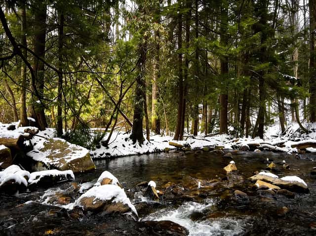 Linn Run State Park: Adams Falls, Flat Rock & Laurel Highlands Hiking: A high-resolution hero image showcasing the natural beauty of the park.