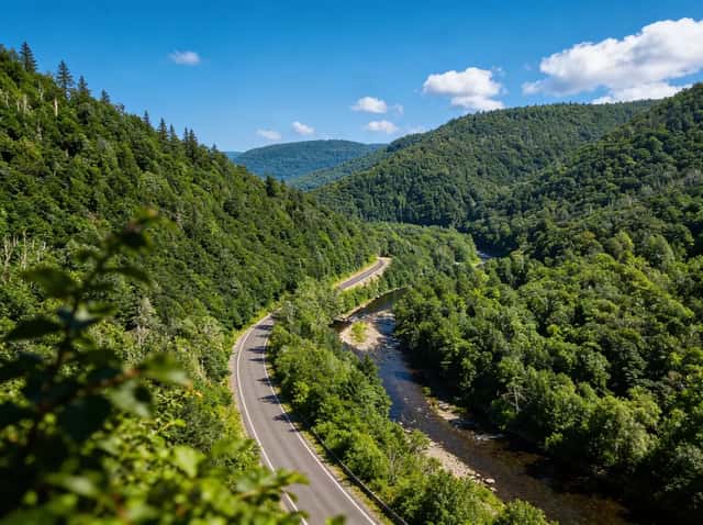 World's End State Park: Canyon Vista, Loyalsock Trail & Hidden Gorge Hikes: A high-resolution hero image showcasing the natural beauty of the park.
