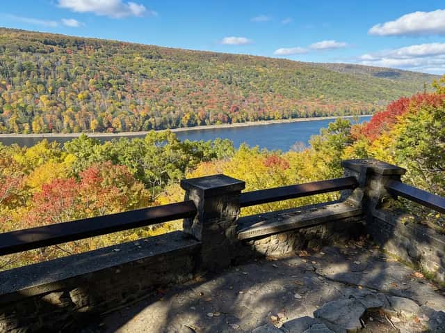 Allegheny National Forest: A comprehensive guide showcasing the region's hiking, dispersed camping, and wilderness attractions.