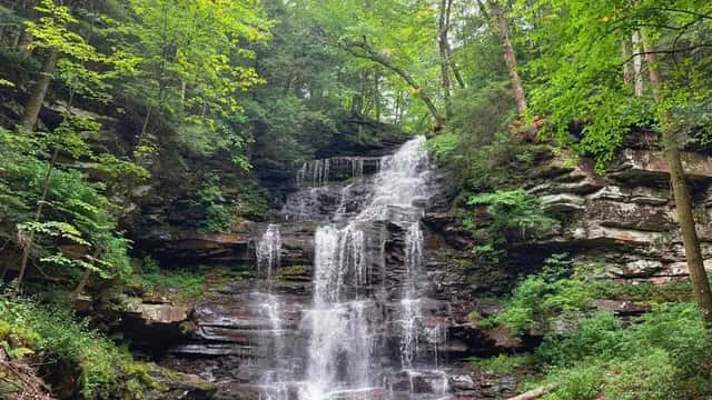 Falls Trail at Ricketts Glen: The Complete Hiker's Guide