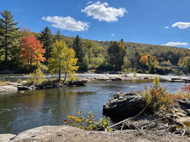 A scenic bend of the Youghiogheny River wrapping around the tree-covered Ferncliff Peninsula in Ohiopyle State Park.