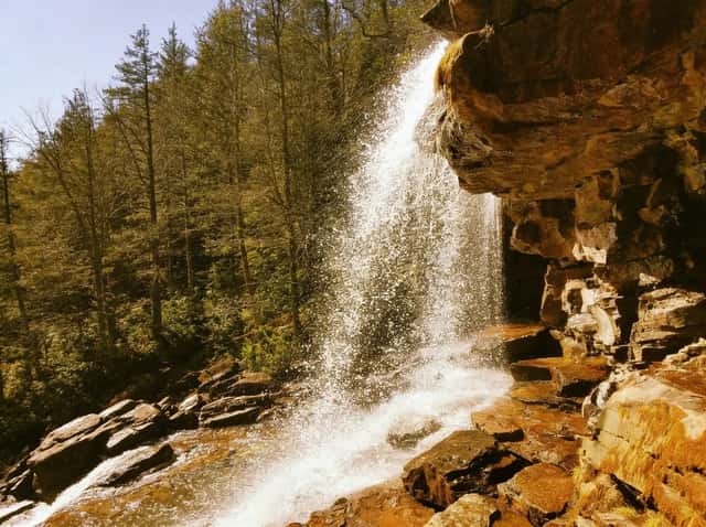 Glen Onoko Falls: PA's Most Famous Closed Trail (And What to Do Instead)
