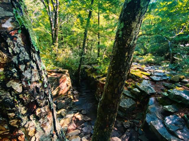 Dramatic view of the Shades of Death boulder field at Hickory Run State Park.