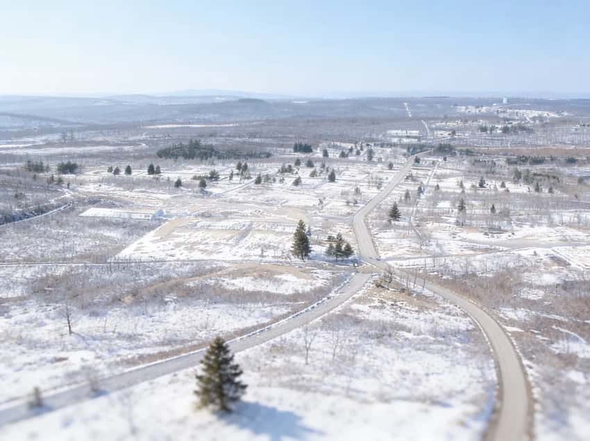 Atmospheric landscape of Centralia showing the overgrown, abandoned terrain