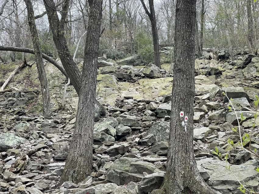 Hikers scrambling up rocky Red Dot Trail on Mount Tammany