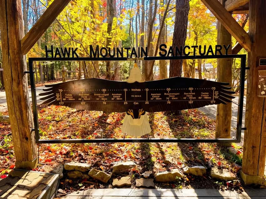 Hawk Mountain Sanctuary entrance sign and forest