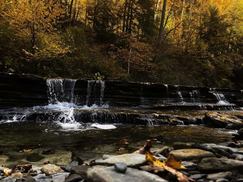 Lush green trails weaving through the deep ravine of Wintergreen Gorge