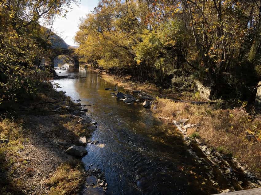 A small creek along the Chickies Rock Overlook trail.