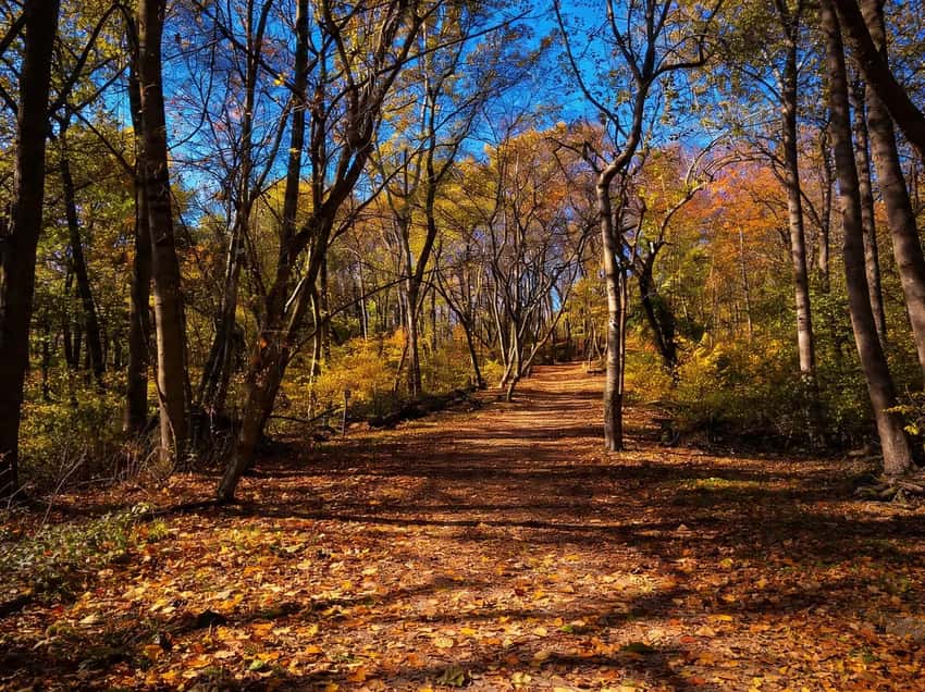 Wide view of the Chickies Rock Overlook trail path.