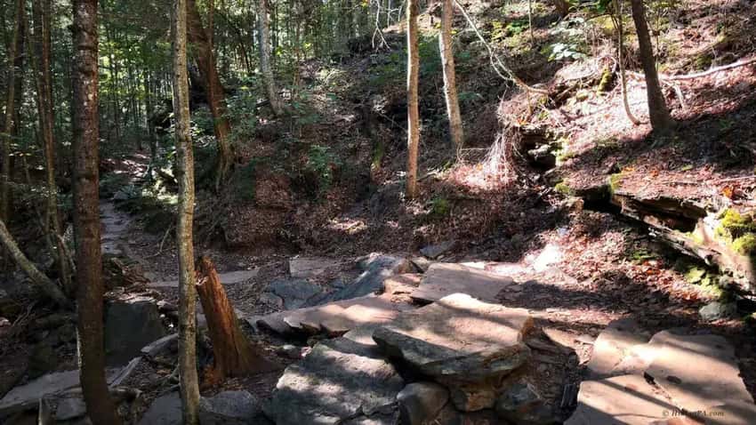 Steel stairs and walkways along Falls Trail at Ricketts Glen State Park