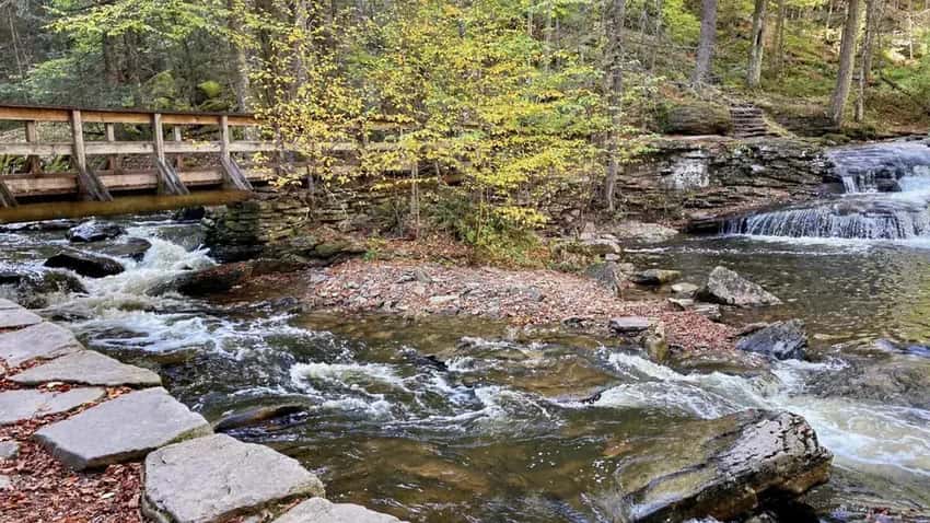 Waters Meet junction where Glen Leigh and Ganoga Glen converge