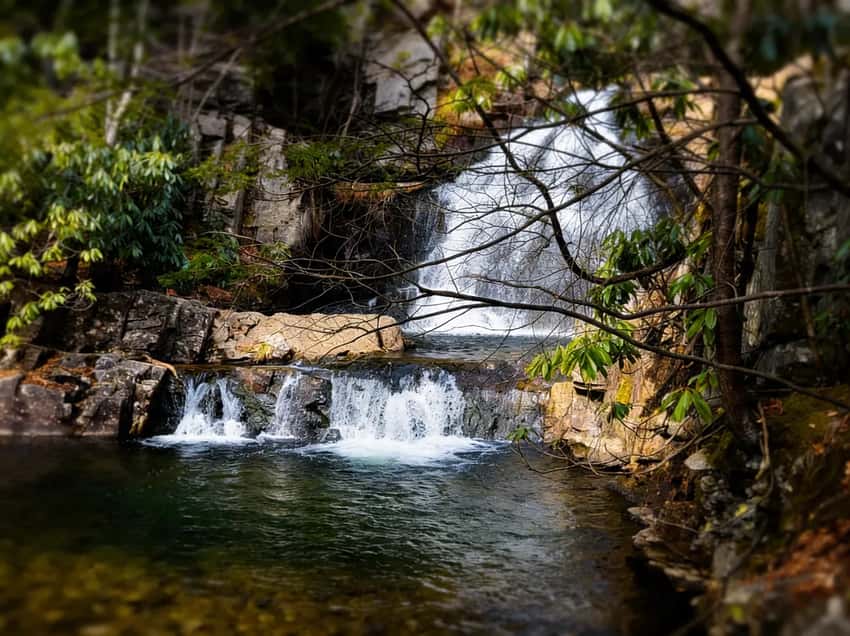 A high-fidelity perspective of Hawk Falls framed by overhanging branches