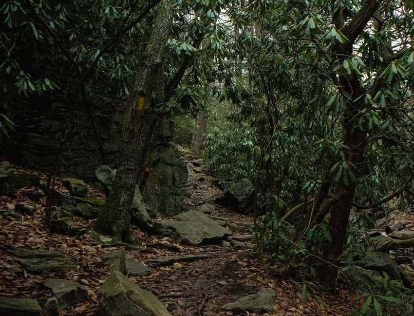 The rocky terrain on the descent of Hawk Falls Trail