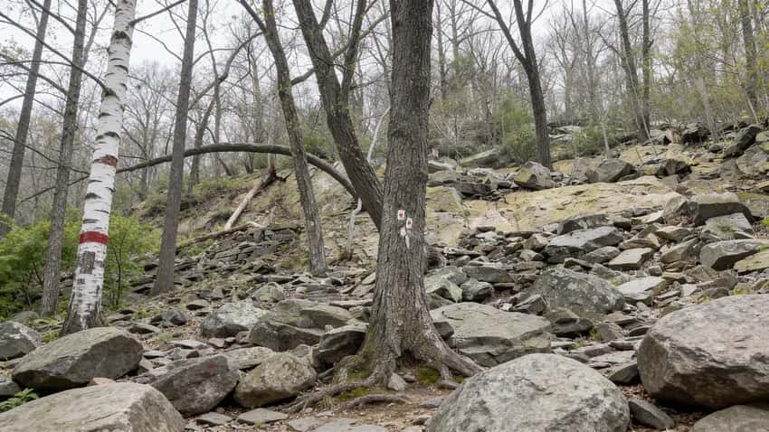 Hiker rock scrambling on steep Red Dot Trail ascending Mount Tammany