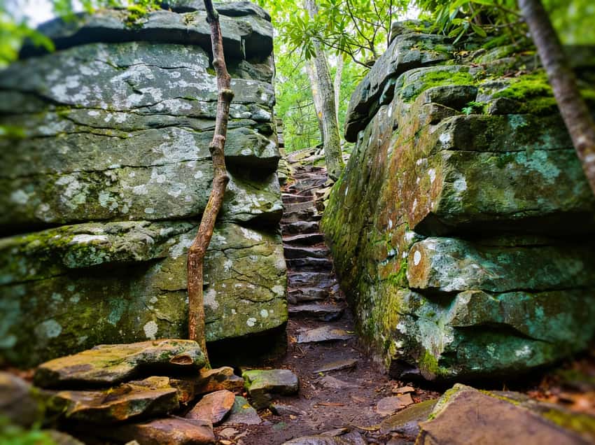 Technical rocky section of the Shades of Death trail where hikers must navigate steep stone steps