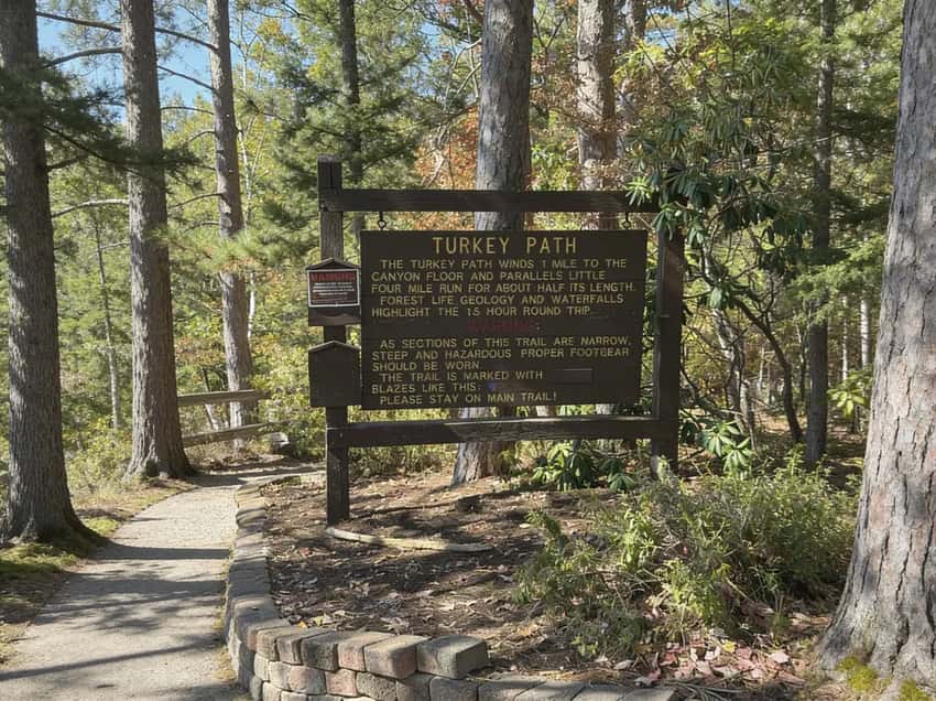 Trail sign at the Turkey Path trailhead at Leonard Harrison State Park